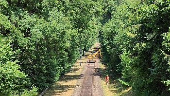 Trassenpflege 2025 1